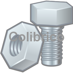 Screw