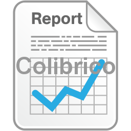 Report