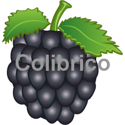 Blackberry