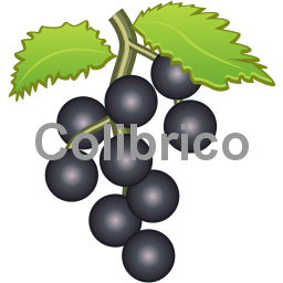 Elderberry
