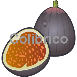 Fig