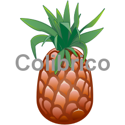 Pineaple