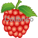 Raspberry