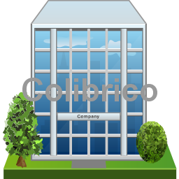 Company