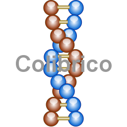 DNA