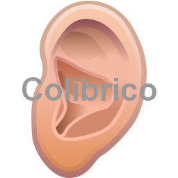 Ear