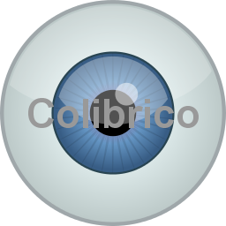 Eye