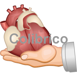 Organ_donation