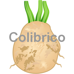 Celeriac