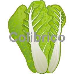 Chinese_cabbage