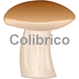 Porcini