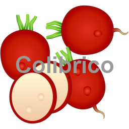 Radishes