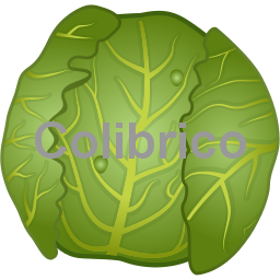 Savoy_cabbage