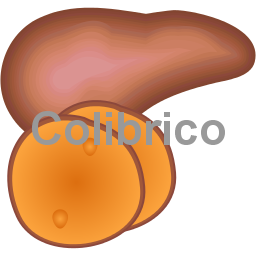 Sweetpotato