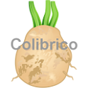 Celeriac