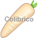 Daikon_radish