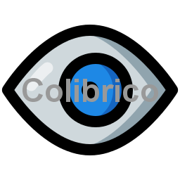 Eye